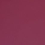class* Cranberry
