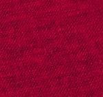 class* Raspberry